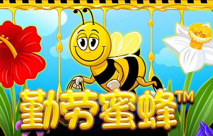 乐竞体育官方入口